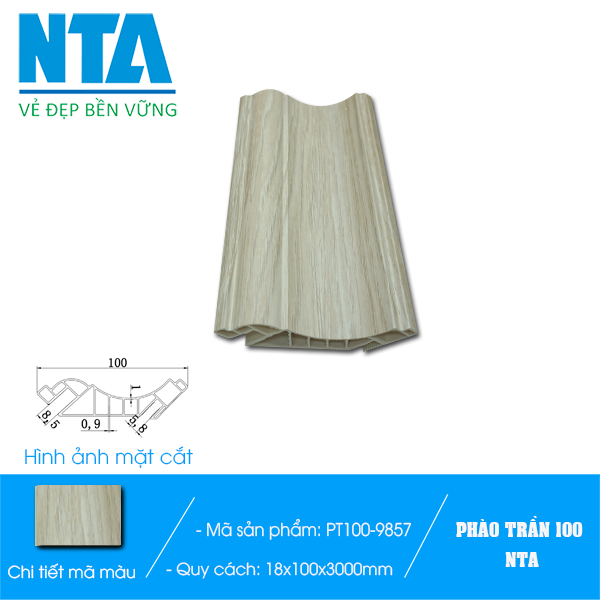 Phào trần 100 NTA-9857